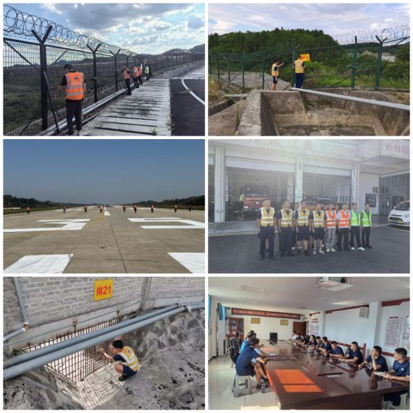 Collage_20250829_114055